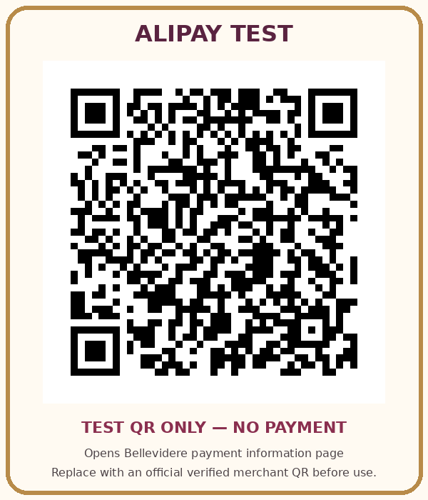 Alipay test QR code